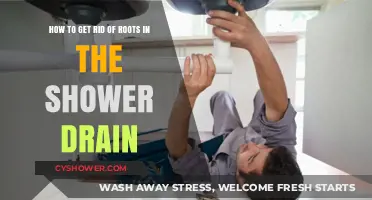 Effective Ways to Remove Roots Clogging Your Shower Drain