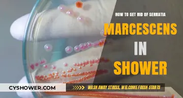 Effective Ways to Eliminate Serratia Marcescens Bacteria from Your Shower