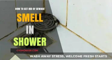 Eliminate Shower Sewage Smell: Quick Fixes and Long-Term Solutions