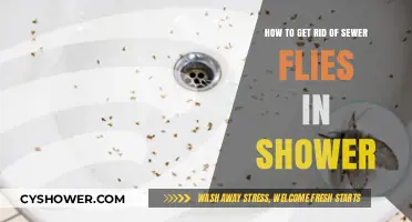 Effective Ways to Eliminate Sewer Flies from Your Shower Drain