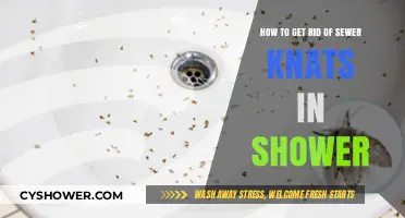 Effective Ways to Eliminate Sewer Gnats in Your Shower Drain