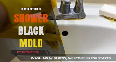 Effective Ways to Eliminate Shower Black Mold for Good