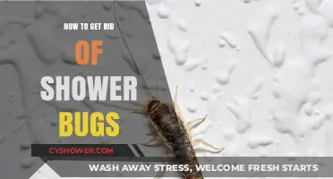 Effective Ways to Eliminate Shower Bugs and Keep Your Bathroom Clean
