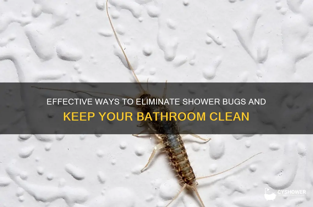 how to get rid of shower bugs