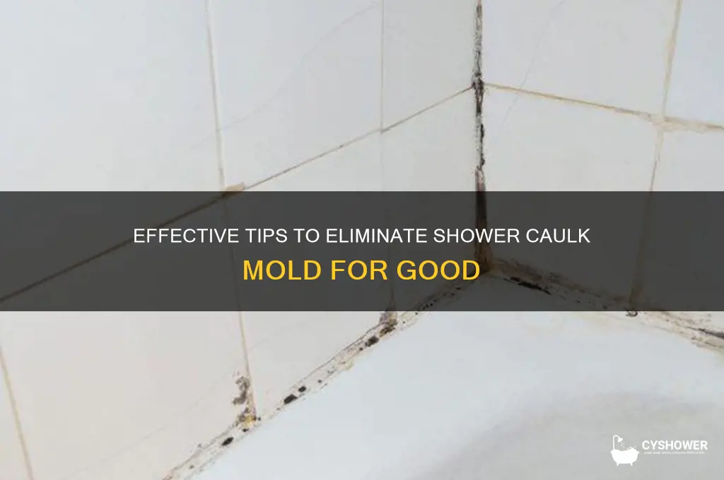 how to get rid of shower caulk mold
