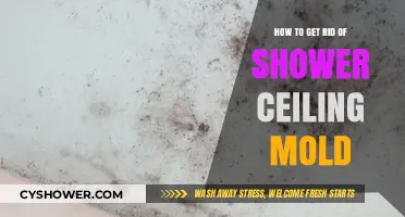 Effective Ways to Eliminate Shower Ceiling Mold for Good