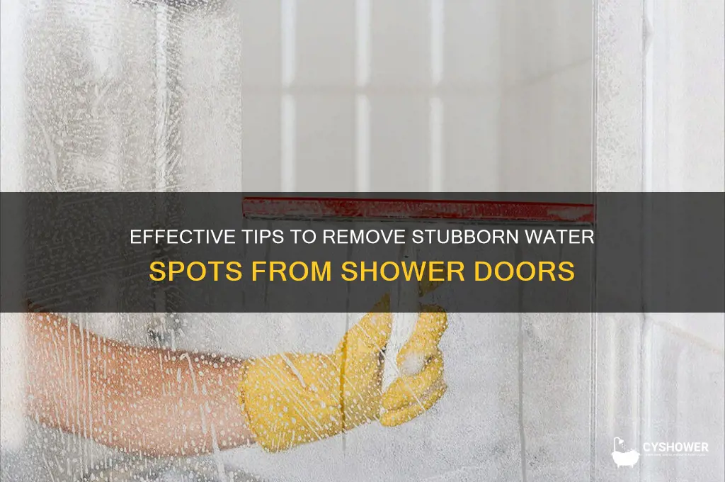 how to get rid of shower door water spots