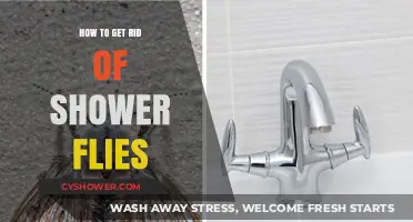 Effective Ways to Eliminate Annoying Shower Flies for Good