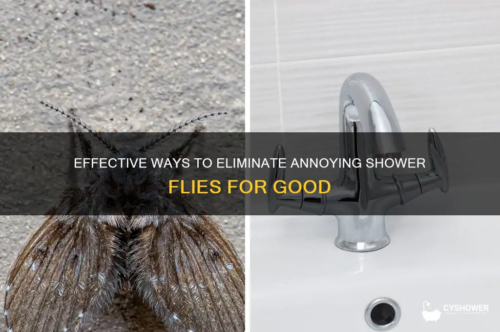 how to get rid of shower flies