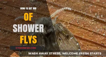 Effective Ways to Eliminate Shower Flies and Keep Your Bathroom Clean