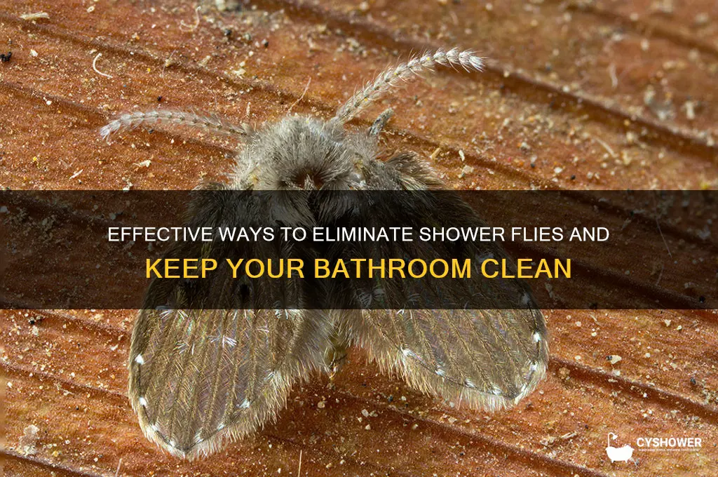 how to get rid of shower flys