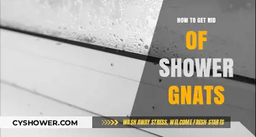 Effective Ways to Eliminate Shower Gnats and Prevent Future Infestations