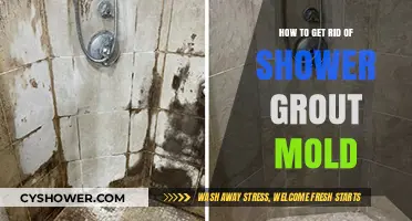 Effective Ways to Eliminate Shower Grout Mold for Good
