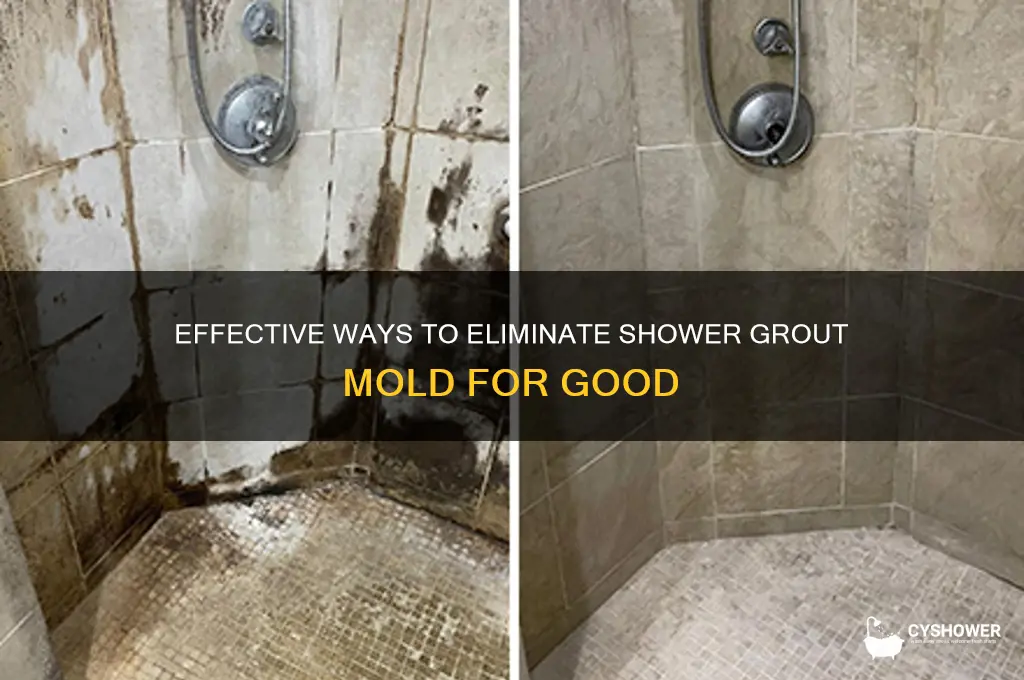 how to get rid of shower grout mold