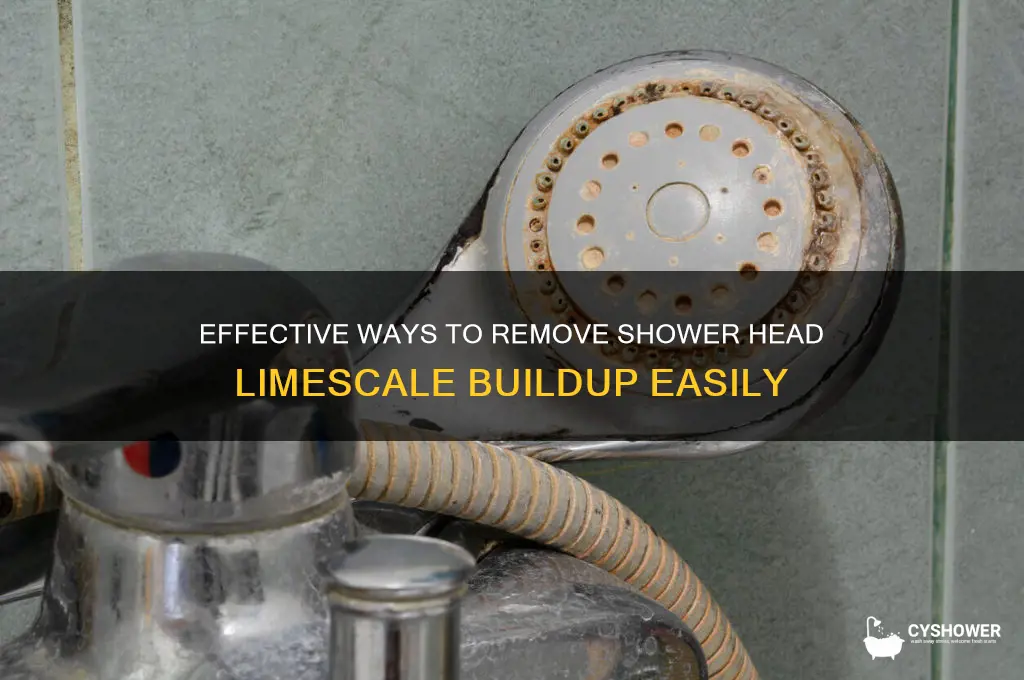 how to get rid of shower head limescale