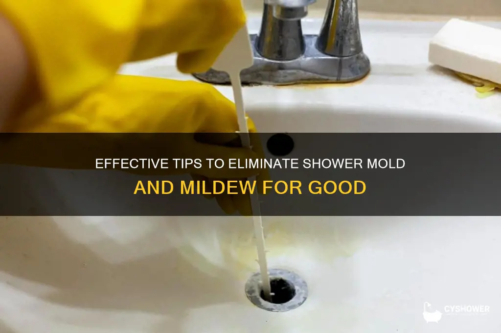 how to get rid of shower mold and mildew