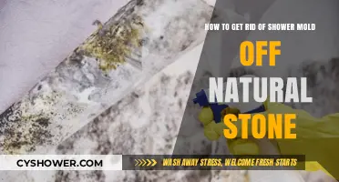Effective Ways to Remove Shower Mold from Natural Stone Surfaces