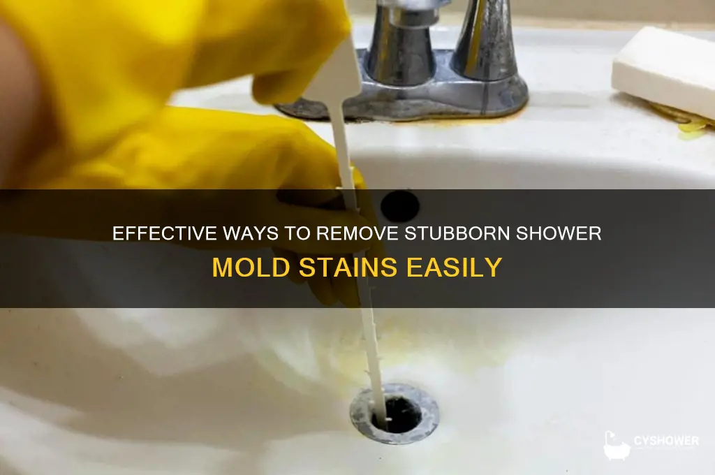 how to get rid of shower mold stains