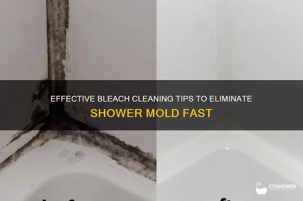 how to get rid of shower mold with bleach