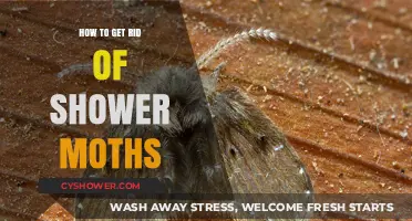 Effective Ways to Eliminate Shower Moths and Prevent Infestations