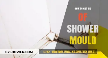 Effective Tips to Eliminate Shower Mould and Prevent Regrowth