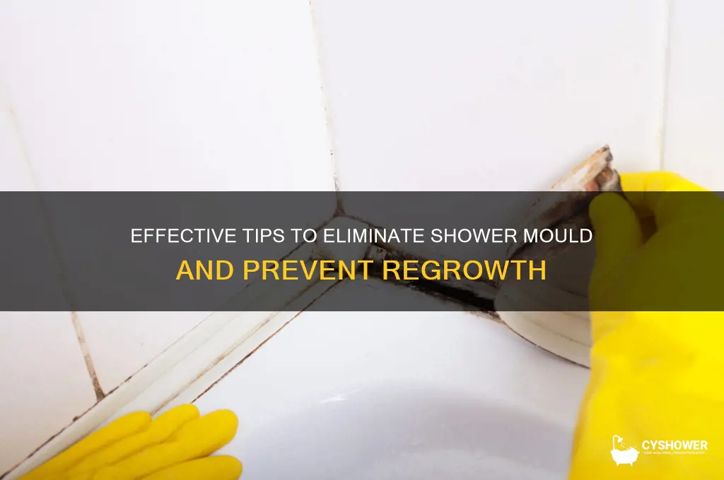 how to get rid of shower mould