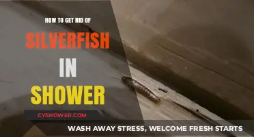 Effective Ways to Eliminate Silverfish from Your Shower Area
