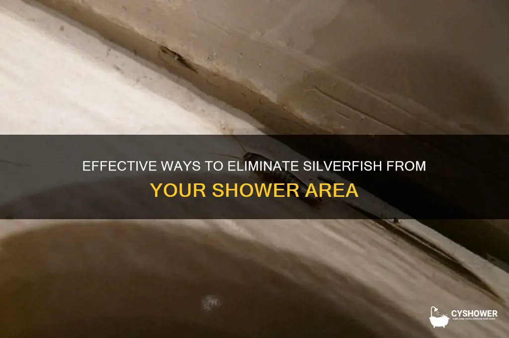 how to get rid of silverfish in shower
