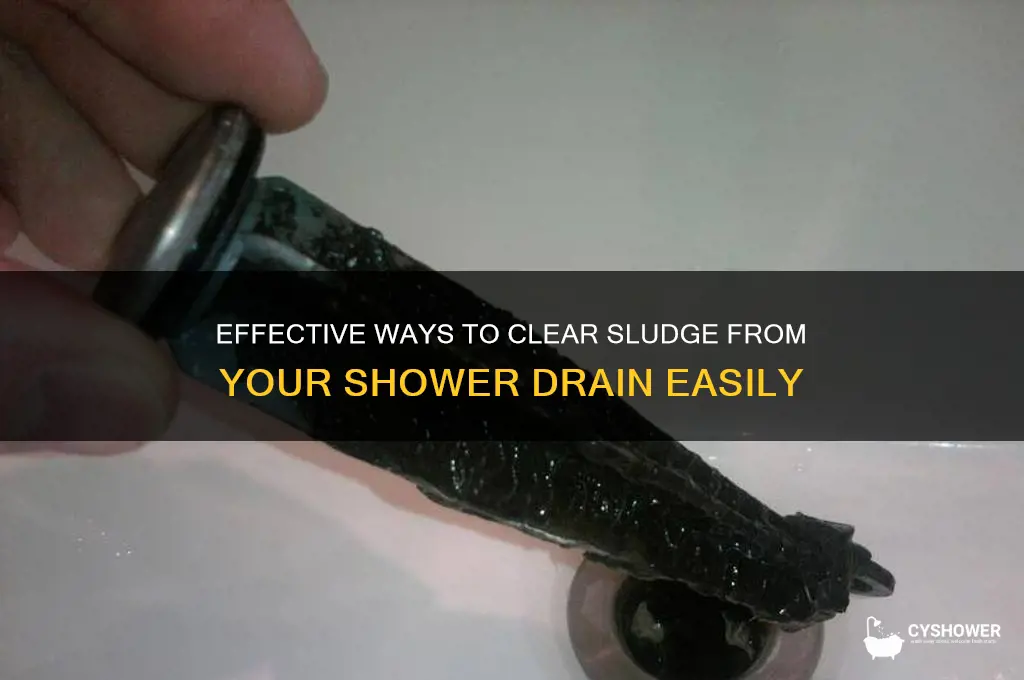 how to get rid of sludge in shower drain