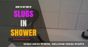 Effective Ways to Eliminate Slugs from Your Shower Area