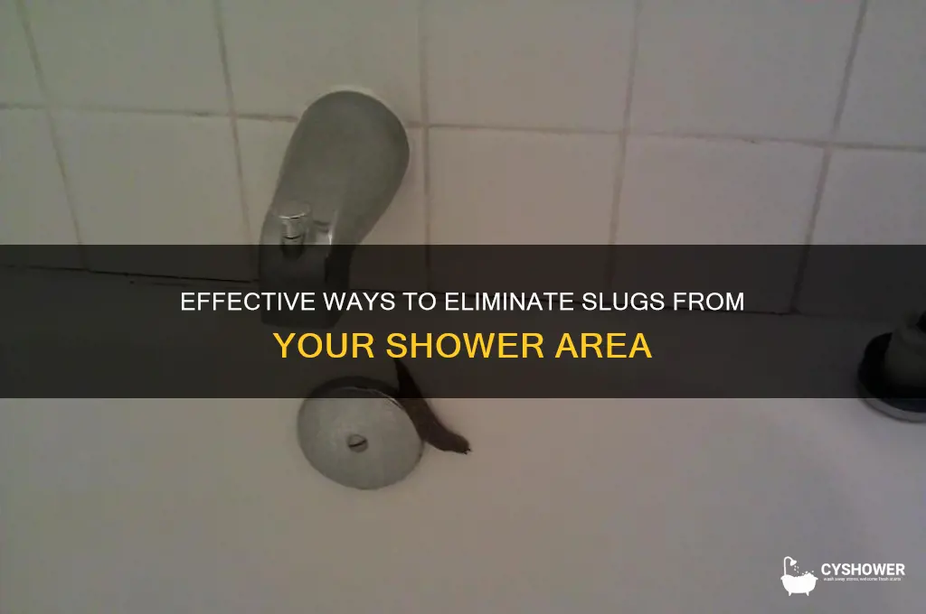 how to get rid of slugs in shower