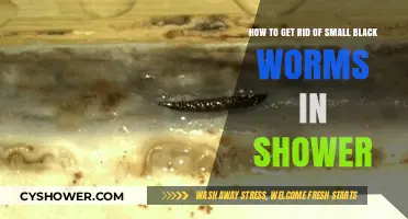 Eliminate Small Black Worms in Your Shower: Effective Solutions and Prevention Tips