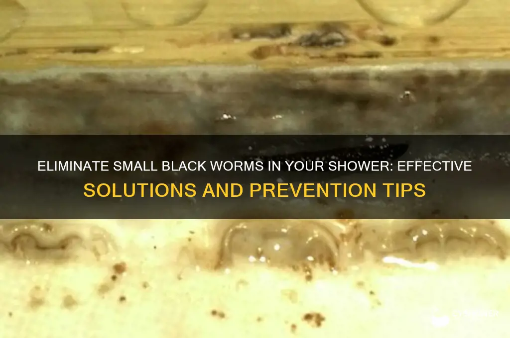 how to get rid of small black worms in shower