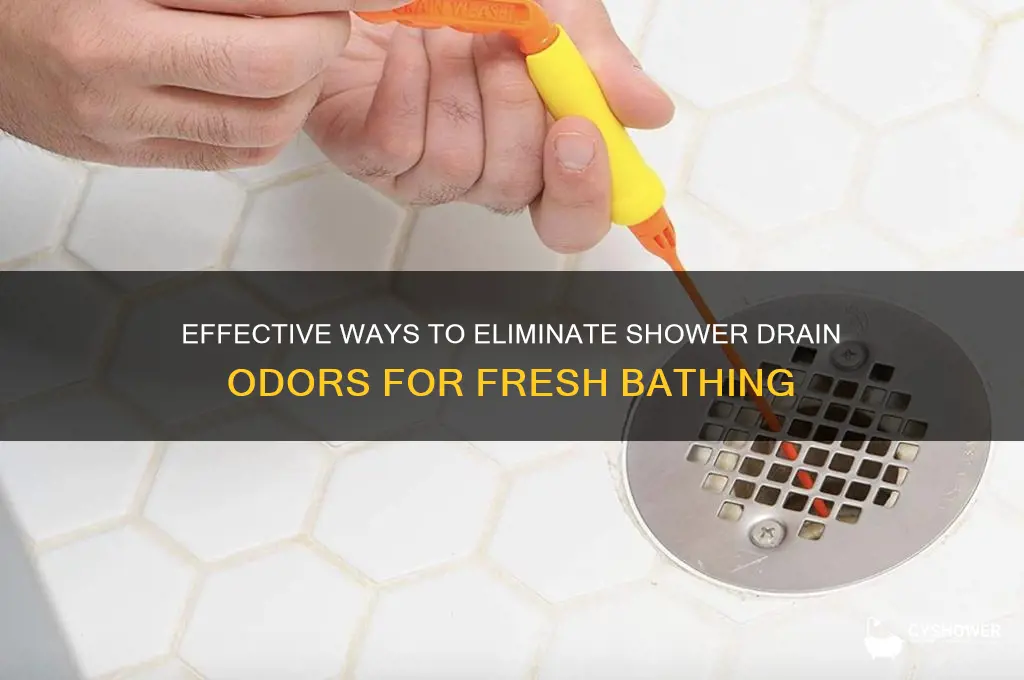 how to get rid of smelly drains in shower