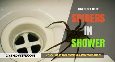 Effective Ways to Keep Spiders Out of Your Shower