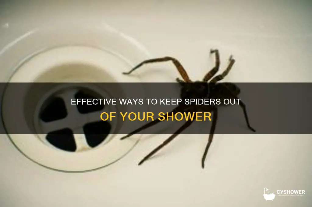 how to get rid of spiders in shower