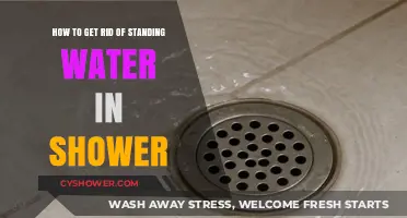 Effective Solutions to Eliminate Standing Water in Your Shower