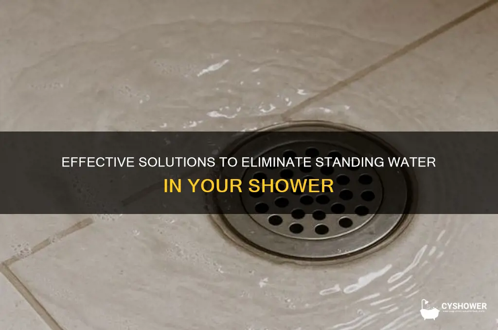 how to get rid of standing water in shower