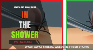Effective Ways to Eliminate Ticks from Your Shower Area