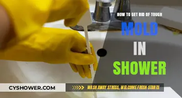 Effective Ways to Eliminate Stubborn Shower Mold for Good