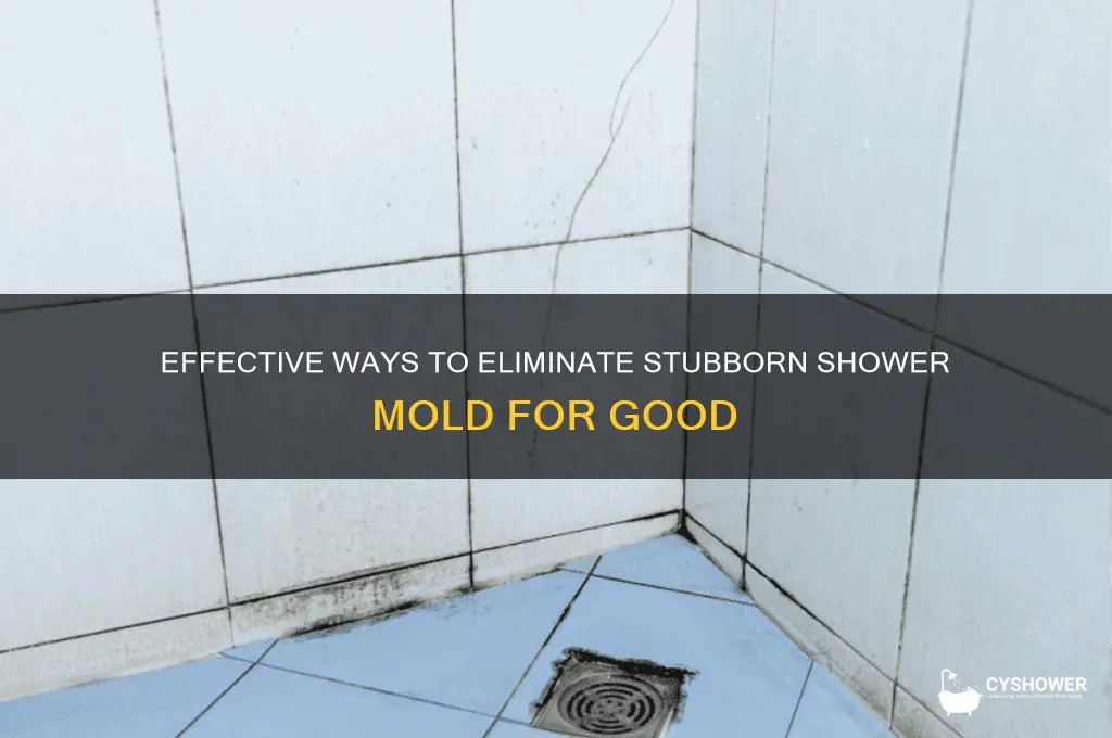 how to get rid of tough mold in shower