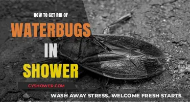 Effective Ways to Eliminate Waterbugs from Your Shower Quickly