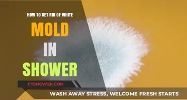 Effective Ways to Eliminate White Mold in Your Shower