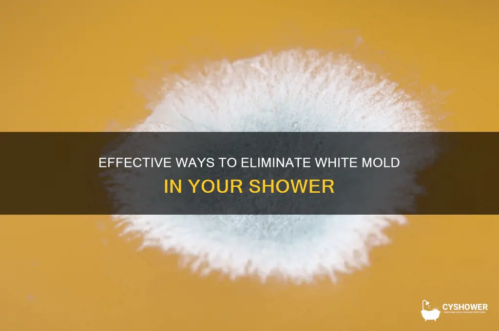 how to get rid of white mold in shower