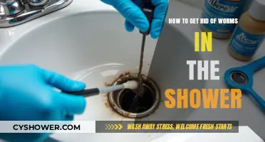 Effective Ways to Eliminate Shower Worms and Prevent Future Infestations