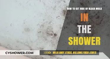 Effective Ways to Eliminate Black Mold in Your Shower