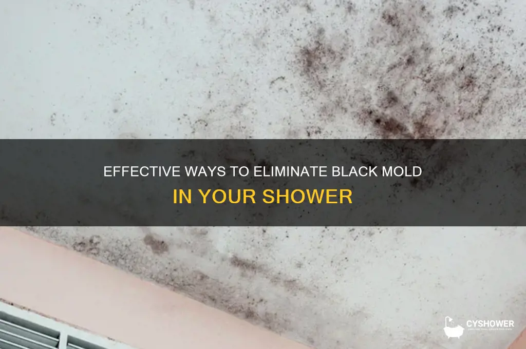 how to get ride of black mold in the shower