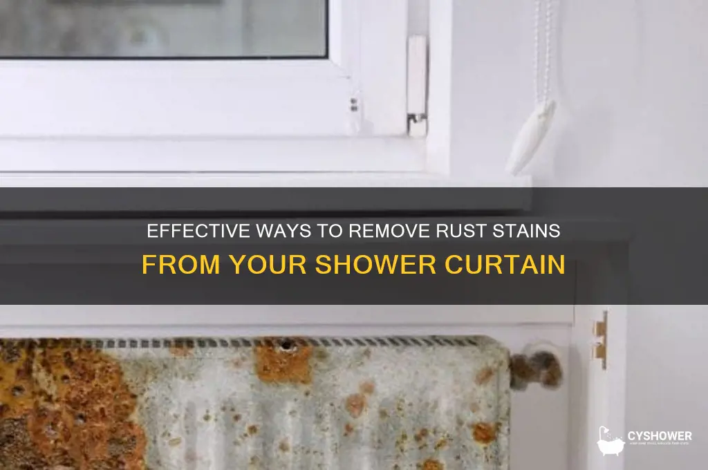 how to get rust stains off of shower curtan