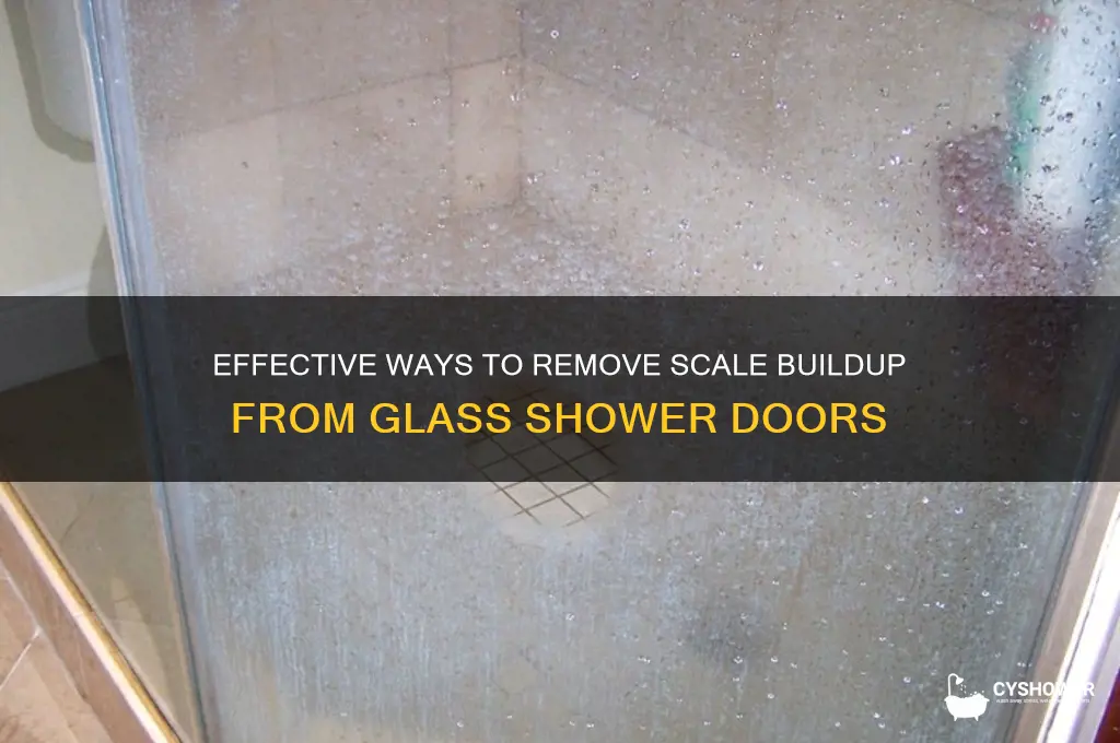 how to get scale off glass shower doors