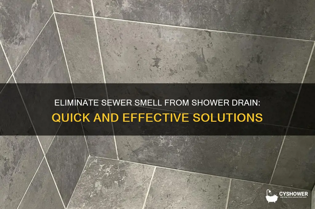 how to get sewer smell out of shower drain